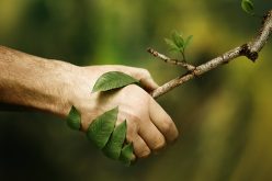 Permis d’environnement : un premier pas qui en appelle d’autres